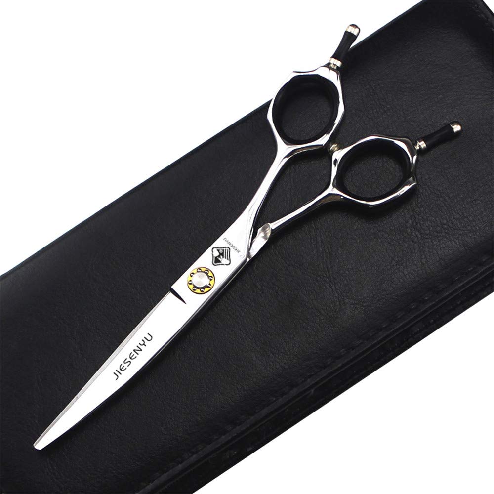 Ciseaux de coiffure pour salon de coiffure ou utilisation domestique avec peigne et sac