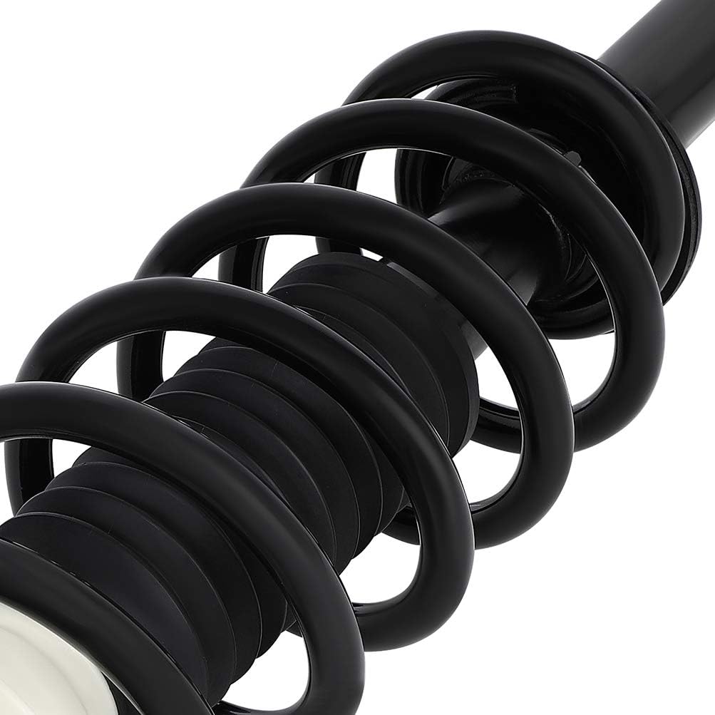 ECCPP 2pcs Rear Pair Complete Strut Assembly Shock Absorber for 2009 2010 for Dodge Journey