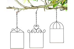 3 Pack Hummingbird Swings and Perches: Enchant Your Feathered Friends