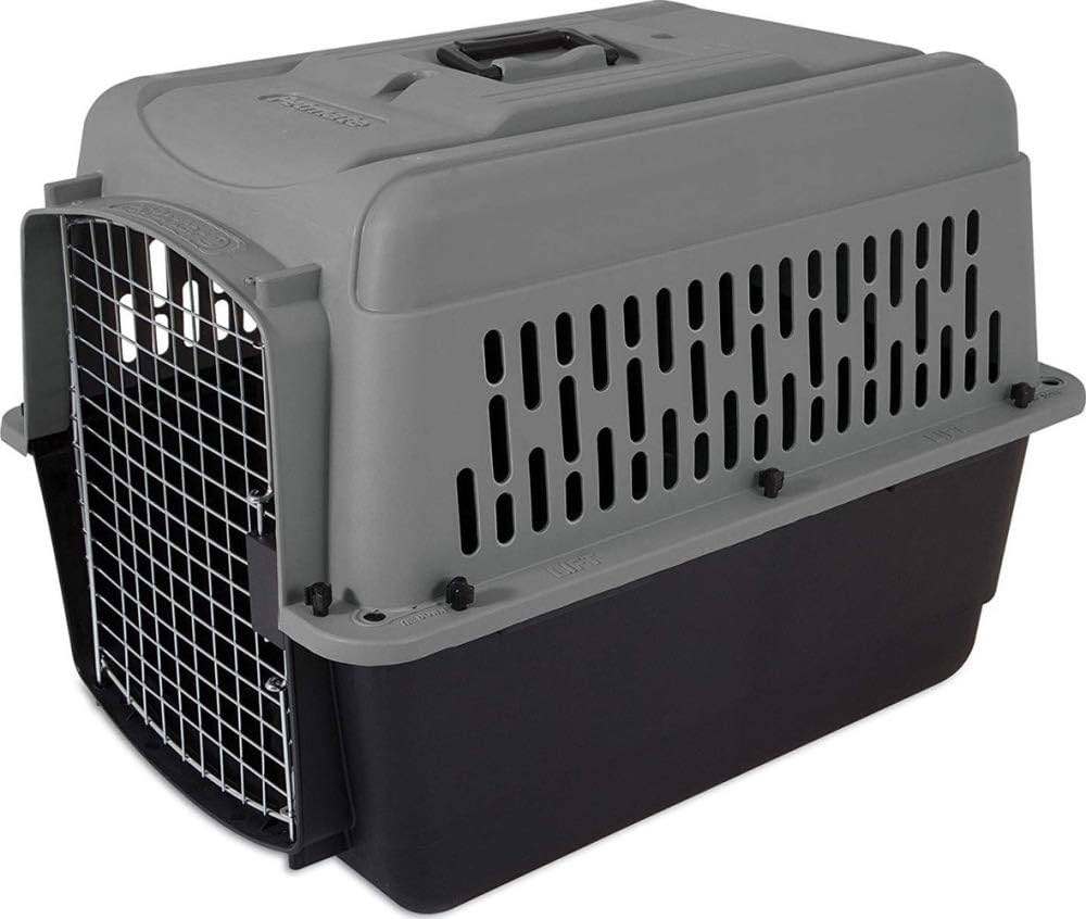 Amazon.com: Petmate ASPEN PET Medium Breeds Cat, Chicken