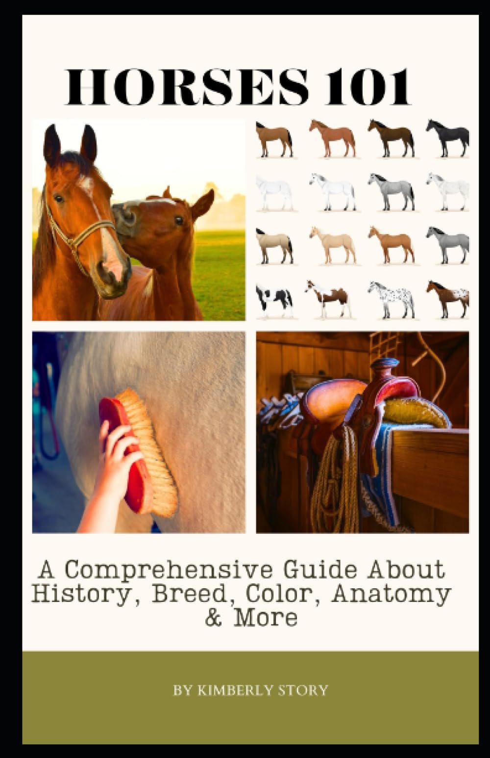 Horses 101: A Comprehensive Guide About History, Breed, Color, Anatomy, Care, Sports & Tack