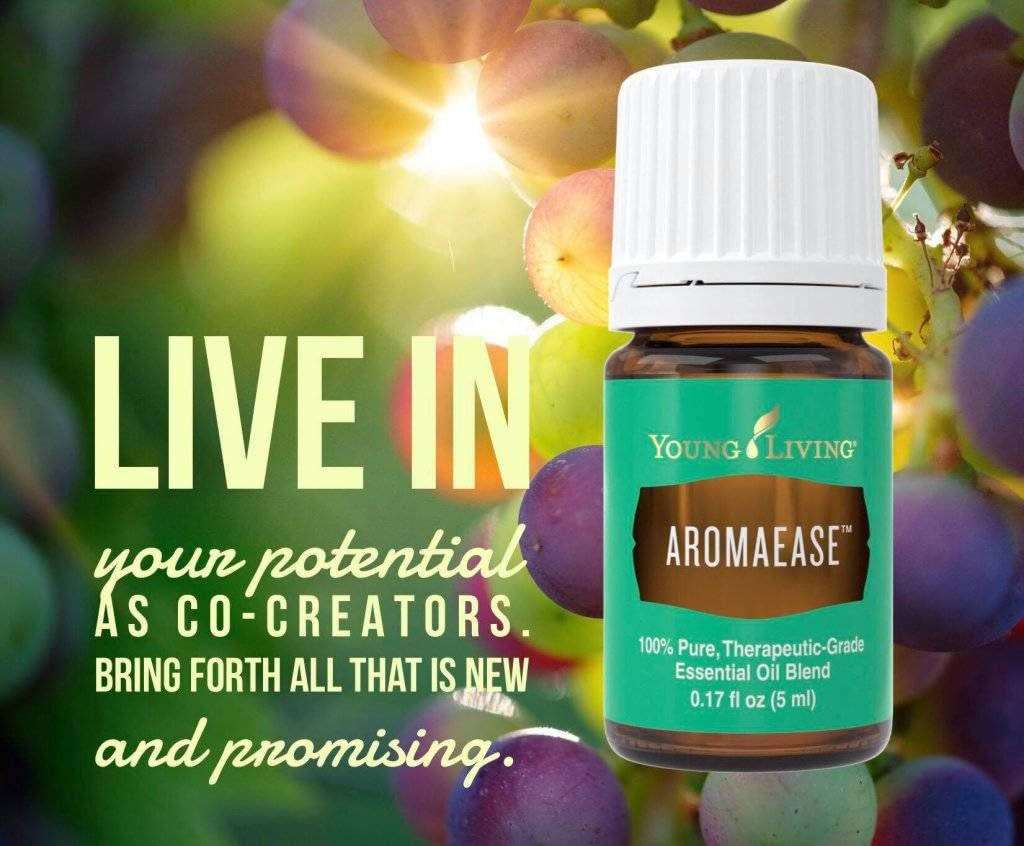 AromaEase 5 ml ( Aroma Ease ) Essential Oil by Young Living Essential Oils