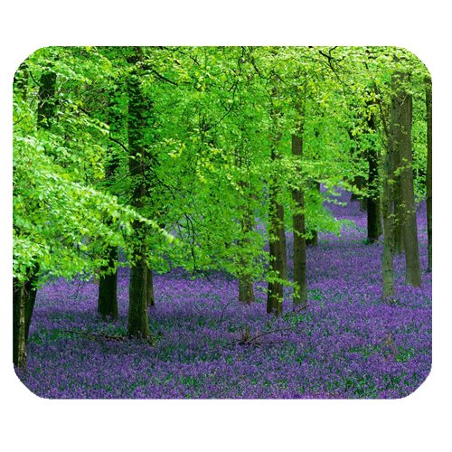 Beech Tree Mousepad Personalized Custom Mouse Pad Oblong Shaped In 9.84"X7.87" Gaming Mouse Pad/Mat