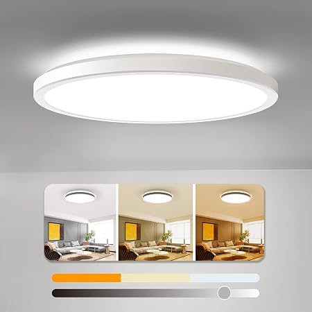 BLNAN Dimmable LED Flush Mount Ceiling Light Fixture with Remote ...