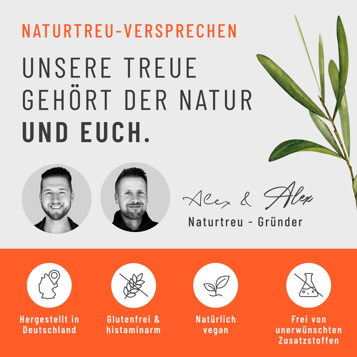 NATURTREU® Magnesiumcitrat hochdosiert - 450 Kapseln, hohe Bioverfügbarkeit | mit L-Glutamin, Zink und Vitamin C - Ideal nach dem Training - Magnesium-Komplex hochdosiert, Vorteilsbundle 5er Paket