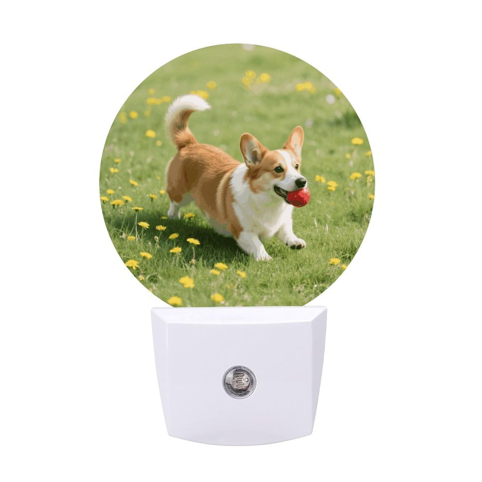 FodPand Night Light Plug Into Wall with Dusk to Dawn Sensor 0.5w Modern LED Corgi Plug in Night Lamp Warm White Glow Nightlight for Bedroom Hallway Kitchen Bathroom Stairs Corridor(Round)