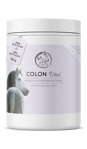Polvo probiótico para Caballos - 750 g de Polvo intestinal con levadura Viva para una Flora intestinal…