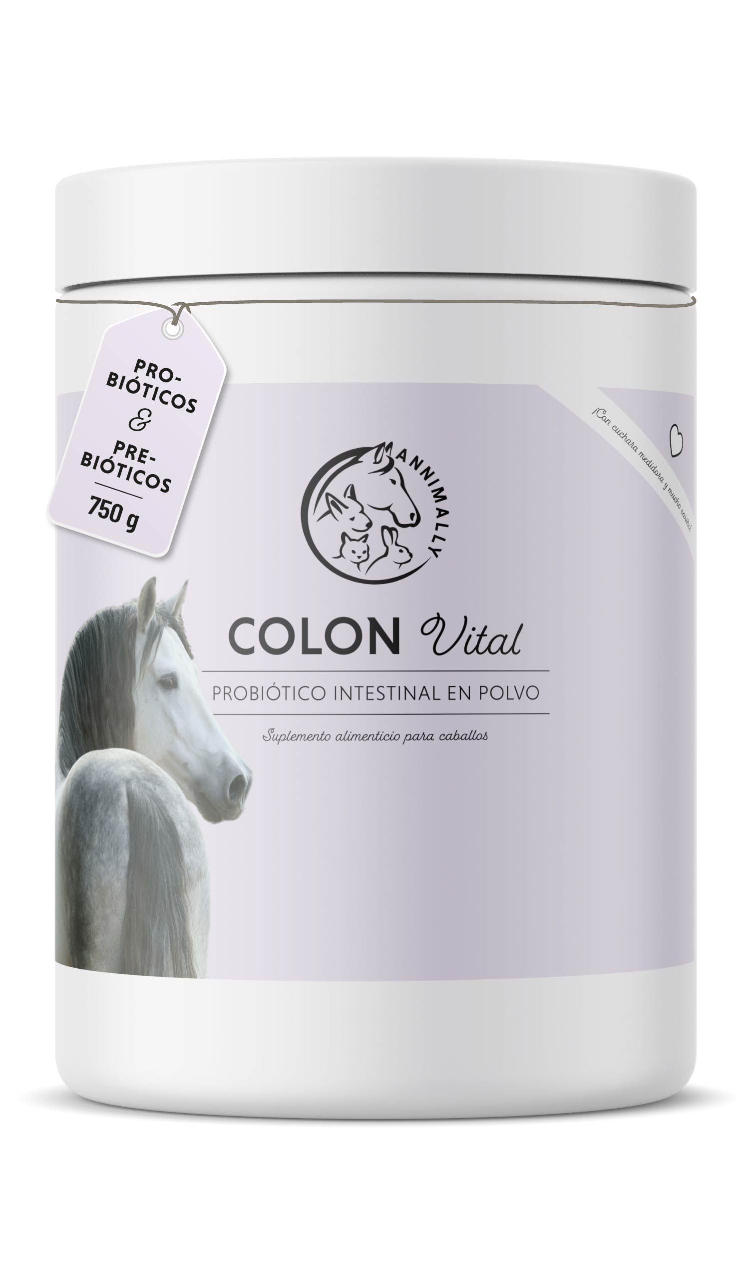 Polvo probiótico para Caballos - 750 g de Polvo intestinal con levadura Viva para una Flora intestinal Saludable - Bacterias intestinales para la rehabilitación intestinal en Caballos