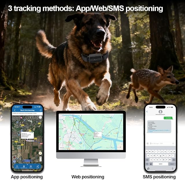 Foto 4 de 8 de Rastreador GPS con Collar para Perros, Caza, Ganado, Caballos