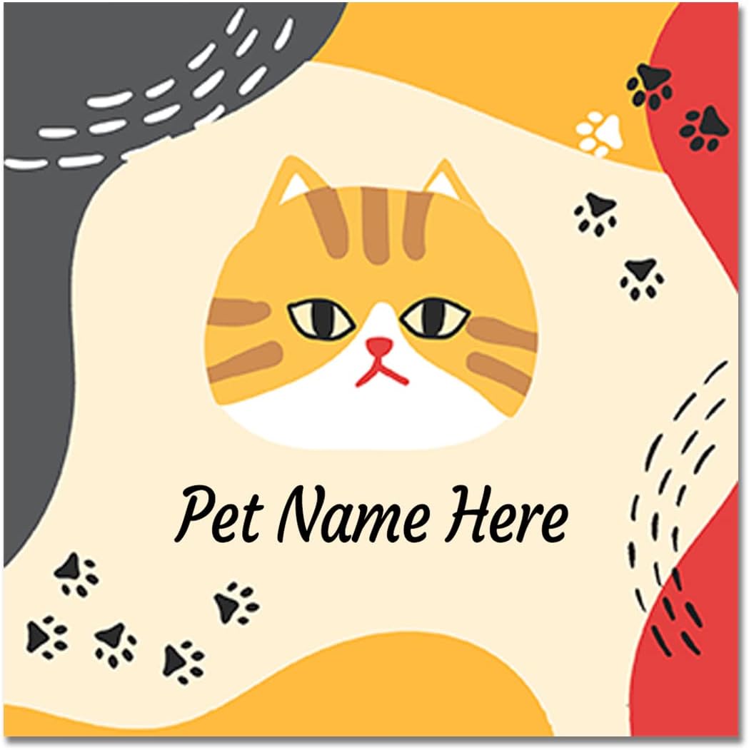 personalized cat dishes