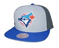 Toronto Blue Jays Tri Color Snapback Hat Cap - Gray