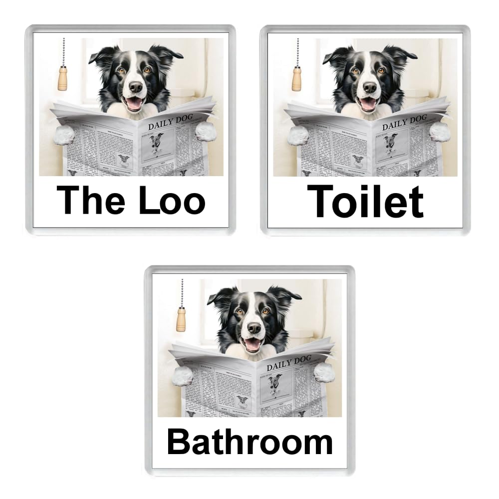 Key Expressions Multi Border Collie Dog Reading A Newspaper On The Loo Novelty Acrylic Toilet/Bathroom Door Sign (Three Wordings)