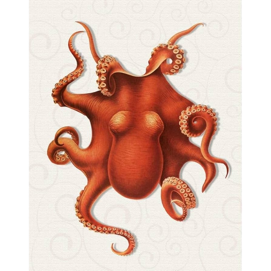 Amazon.com: ArtDirect Octopus 4 Orange 36x46 Huge Black