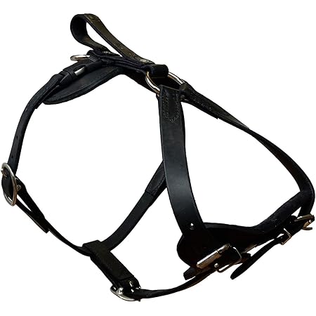 tracking harness