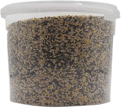 Extra Select Mixed Canary Seed High Protein Bucket 3ltr
