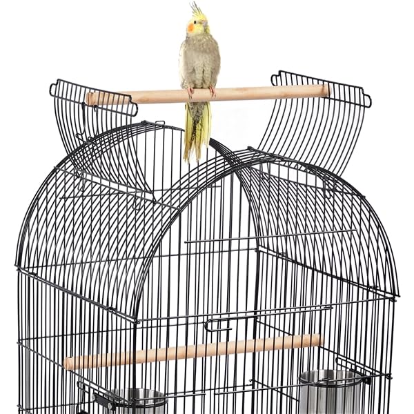 Gabbia Voliera per Uccelli Pappagalli in metallo con Carrello di 4 ruote girevoli e posatoi Nera 59 x 59 x 150 cm