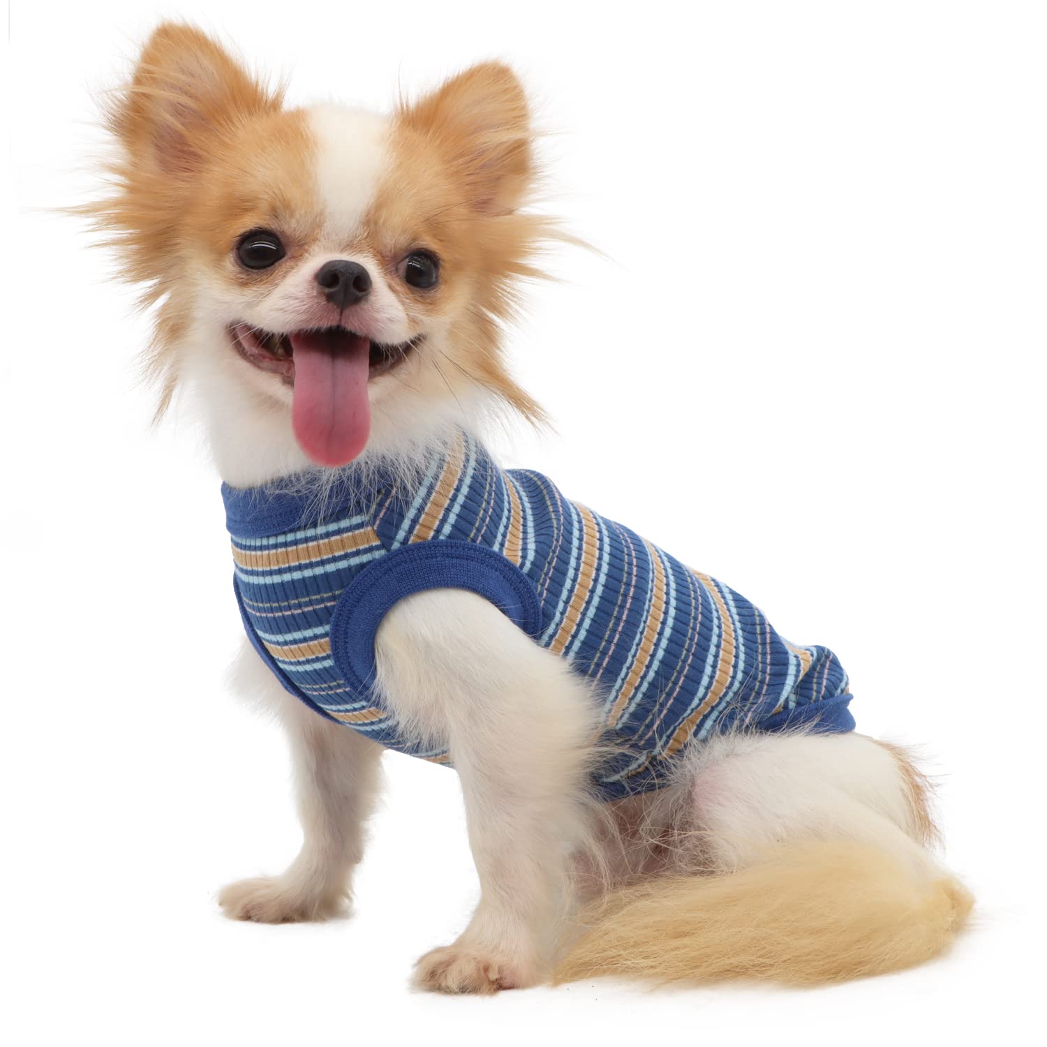 LOPHIPETS Camiseta de algodón 100% acanalado para perros pequeños, Chihuahua, cachorro, camiseta sin mangas, azul/L