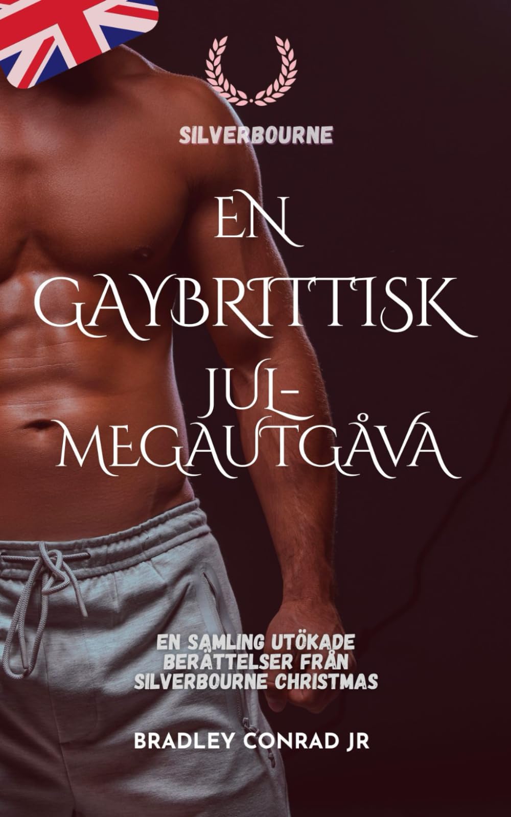 Silverbourne: En gaybrittisk jul-megautgåva: En samling utökade berättelser från Silverbourne Christmas (Silverbourne British Gay Romance)