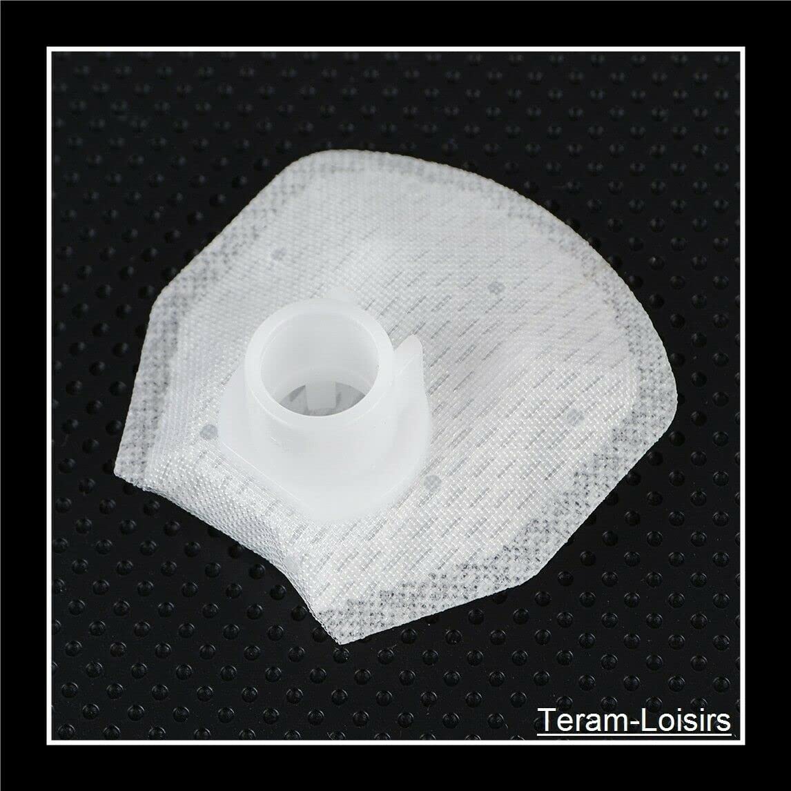 TERAM LOISIRS Filtre Pompe à Essence Compatible pour Suzuki GSF 1250 Bandit 1250 de 2007 à 2016 Neuf France
