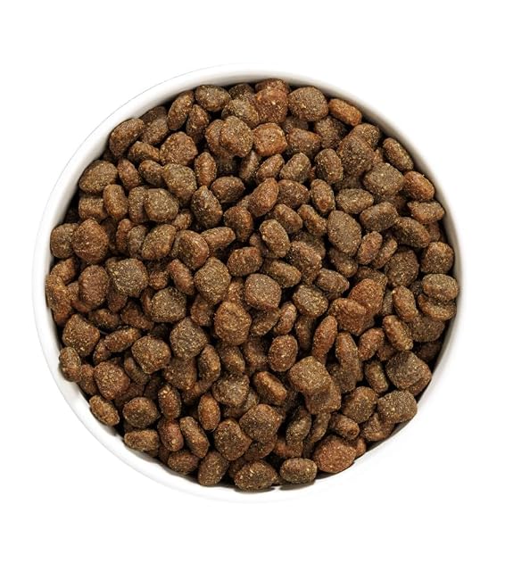 Foto 3 de 4 de Pienso para Perro OWNAT Author Grain Free Rooster 3 kg