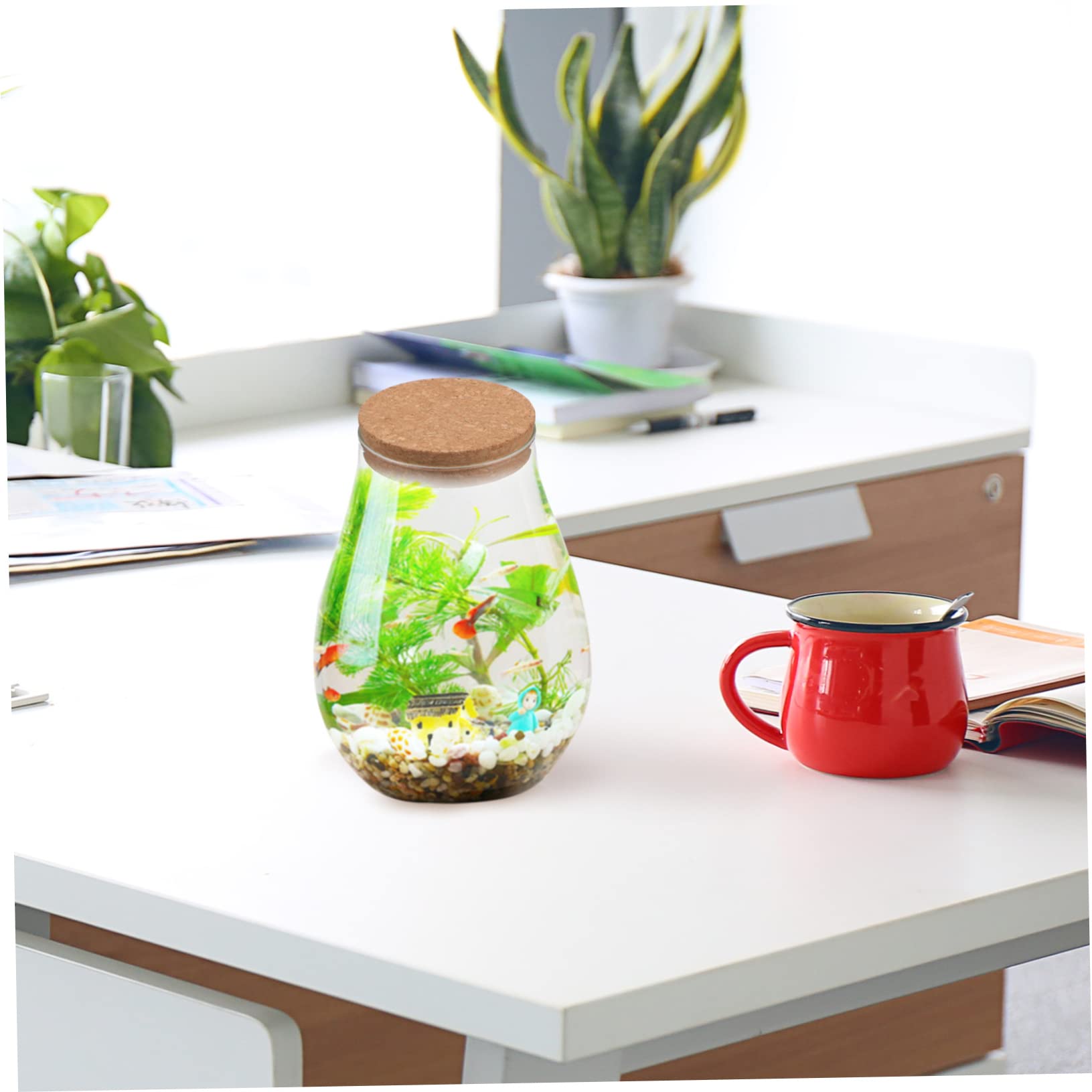 Terrario in Vetro e Legno per Piante e Muschio, Decorativo