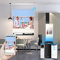 Vista 5 de ZSHINE Persianas enrollables motorizadas con motor recargable, tela opaca completa, tamaño personalizado y compatible con fotos Alexa a través de Hub