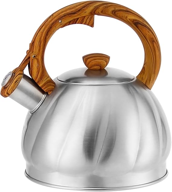Haus Roland Tea Kettle Pipes Stainless Steel Thread Design Gas Kettle