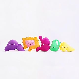 nerdbugs Digestive System Bundle- Smells Like Digestive Spirit - Gastroenterologist/Doctor/Nurse/Physician/Medical Studen...