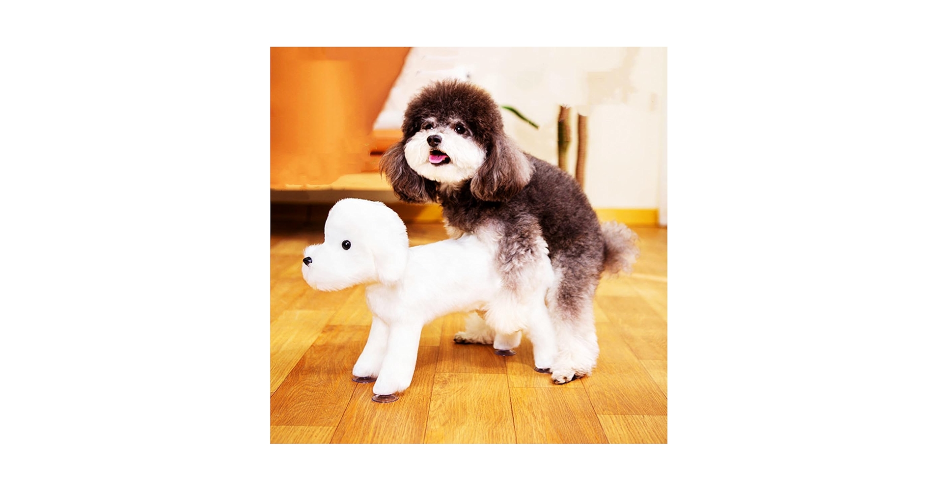 いぬ Amazon.co.jp: ibiyaya トラボイ トライフォールド ペット
