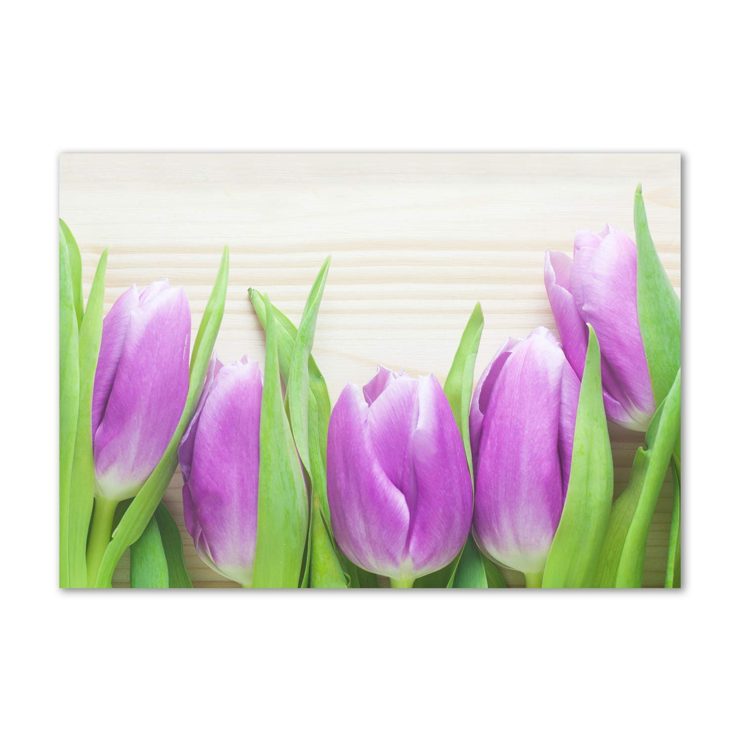 Tableau en verre acrylique tulipes pourpres pour colorer un mur blanc vide