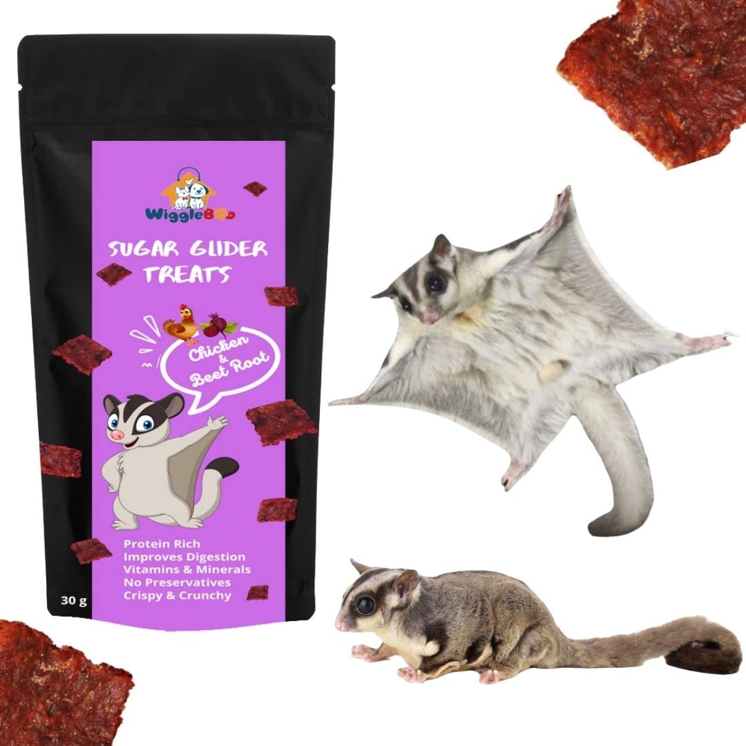 WiggleBoo Chicken & Beetroot Suger Glider Treat | Travel Friendly Pack | Helps Immune System & Digestion | Crunchy Healthy Snacks | 30g