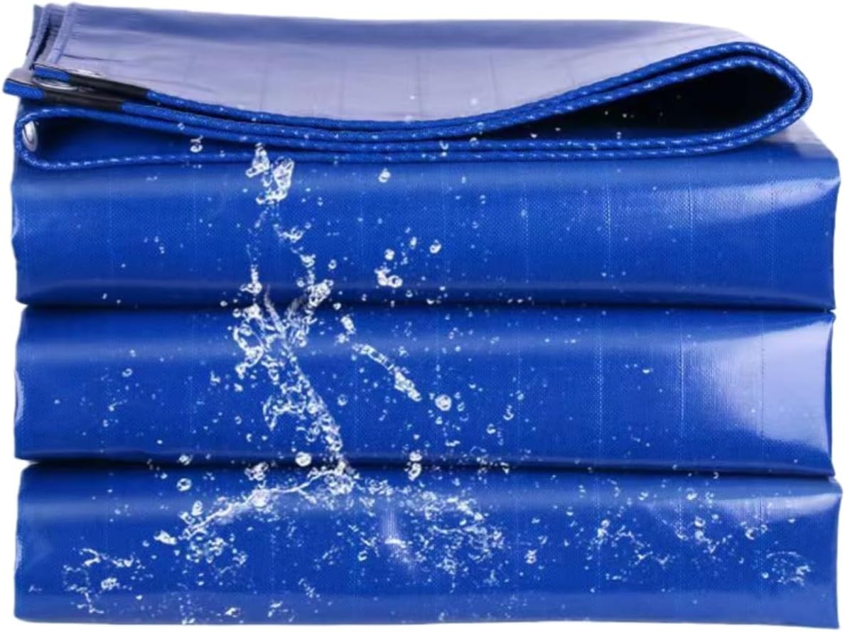 Fairy様専用❗️リリパットレーン50☆FROUTS OF THE SEA プレミアムな