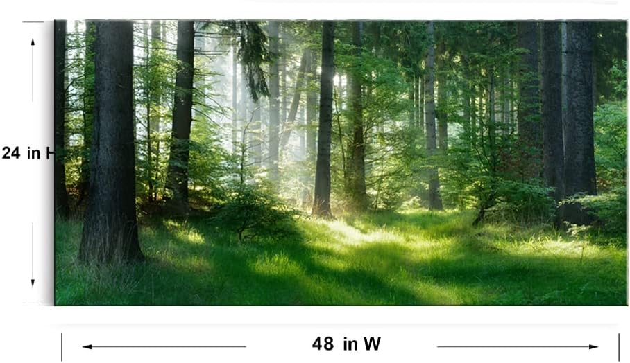 Lasdel Natural Extra Framed Canvas Wall Art of Wide Waterfall  Red Leaves Picture For Bedroom,Burgundy Nature Black White Artwork Decor,Beautiful Maple Leaves Landscape Print Painting,30x60
