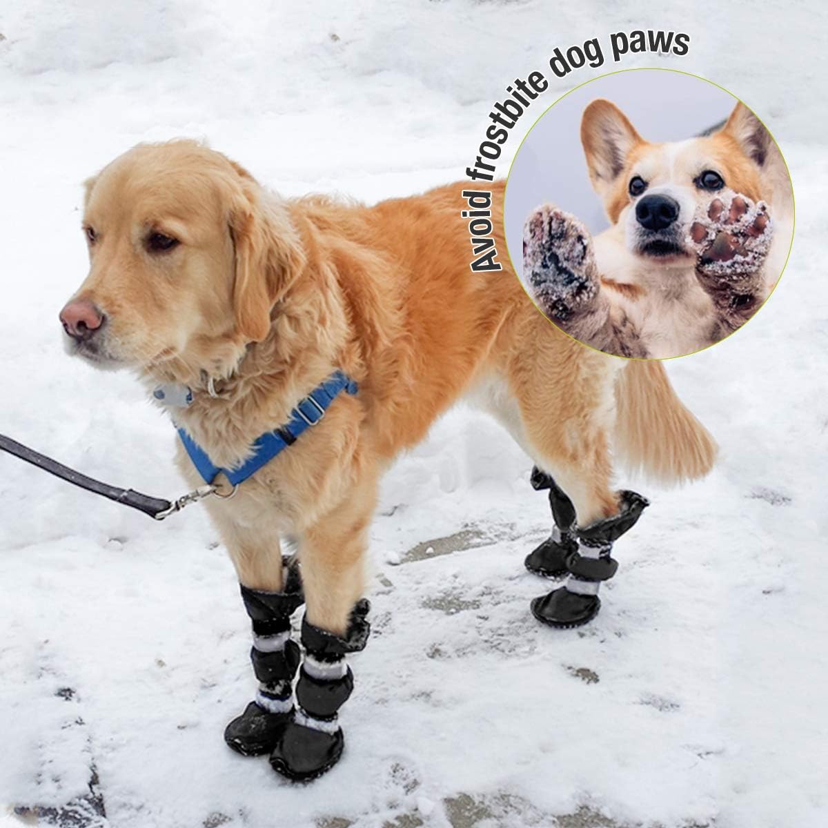 tall dog booties
