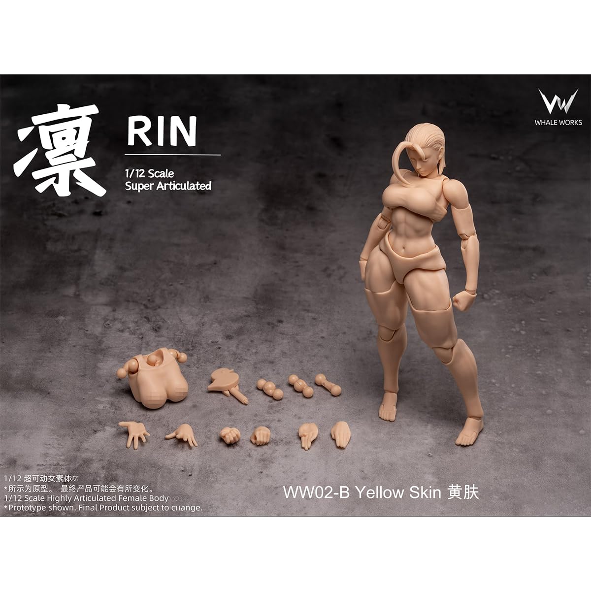Amazon.co.jp: HiPlay 鯨工房 1/12 女性 素体 凛 RIN 黄肌 WW02-B