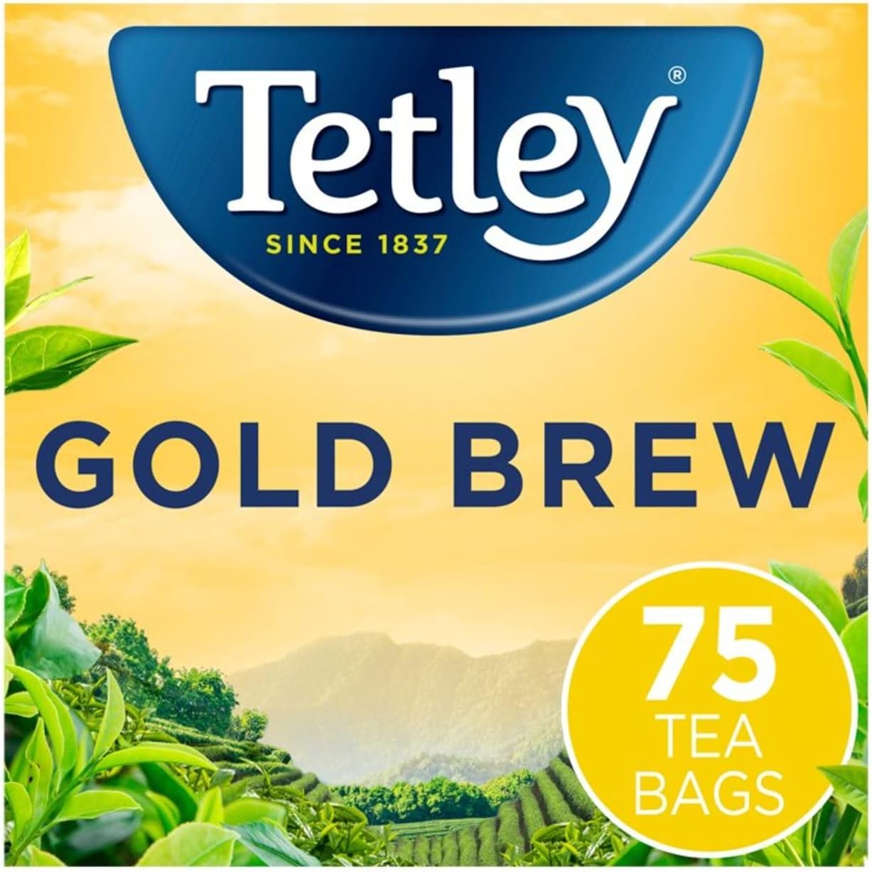 Tetley Gold Brew 75 teabags