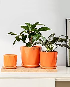 鉢・プランター spicygem studs pot cylinder ver.CJ BRASS 鉢・プランター spicygem studs pot cylinder ver.CJ BRASS spicygem