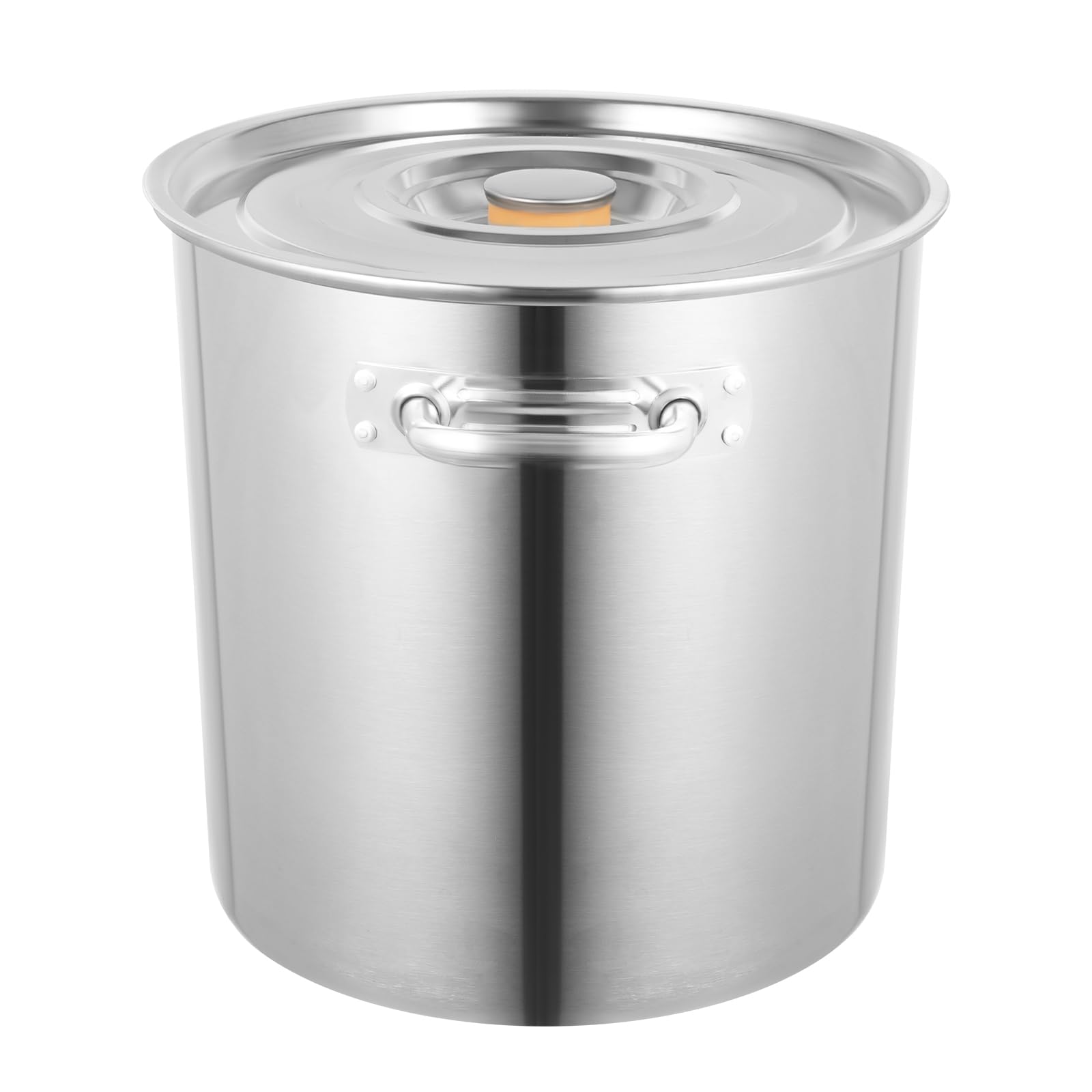 Olla grande para catering (50 L, acero inoxidable, con tapa, resistente a altas temperaturas)