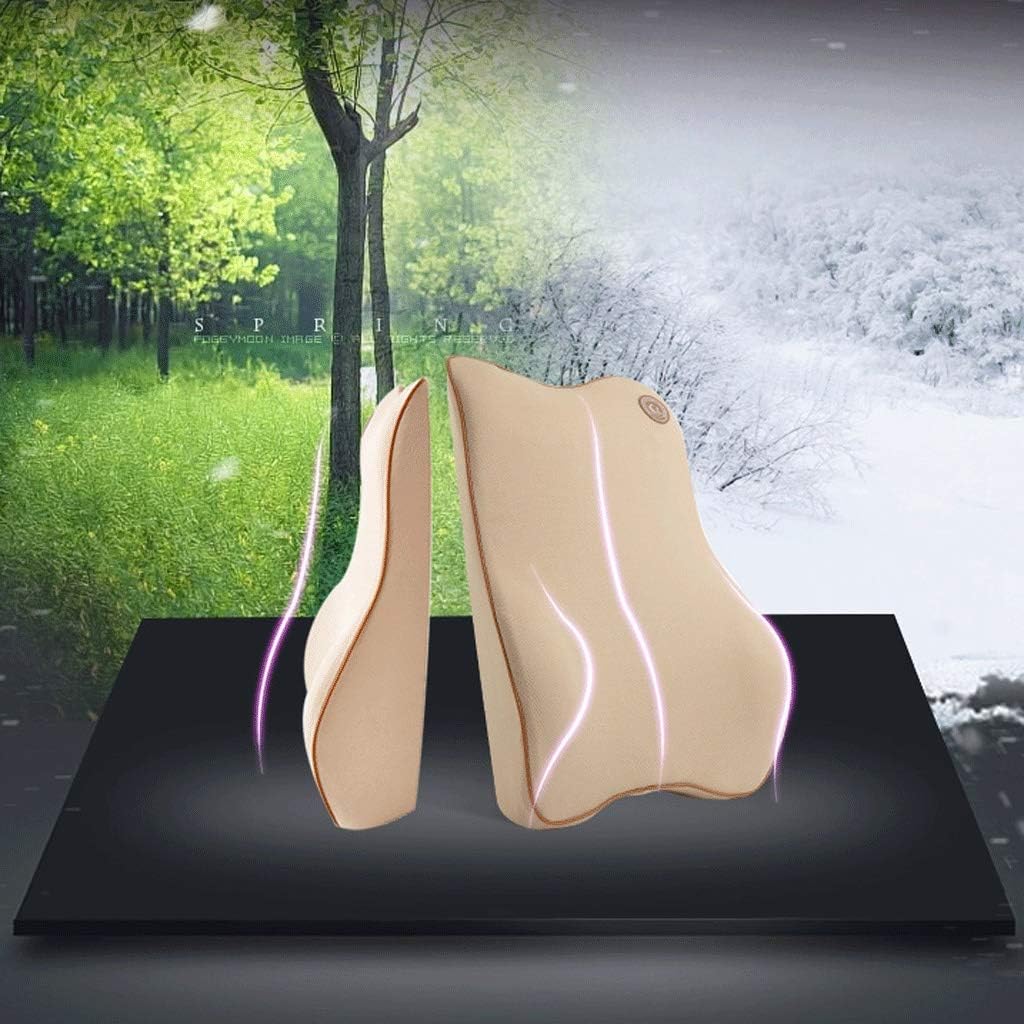 JSEIAJB Memory Foam Lumbar Support Pillow, Breathable Mesh Back Cushion with Ergonomic Designed for Low Back Pain Relief, Orthopedic Backrest for Car Seat(E)