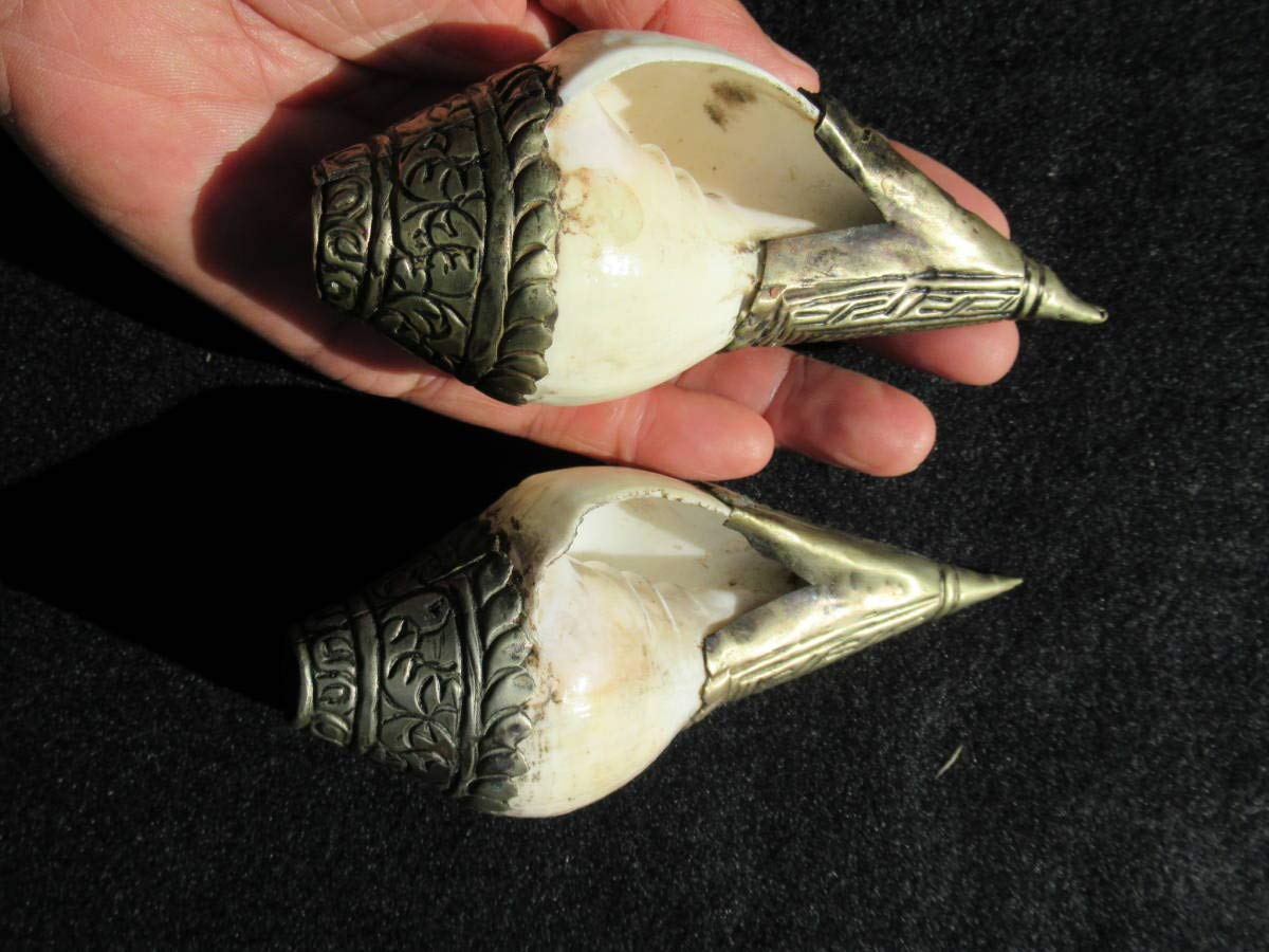 真鍮製シャンク（法螺貝）　印章　法具 Amazon.co.jp: チベット仏教の法具シャンク貝の笛ペア