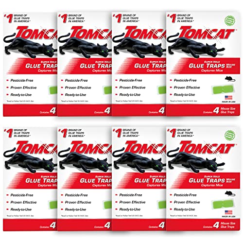Tomcat Super Hold Glue Traps Mouse Size (8-pack, 32 traps)