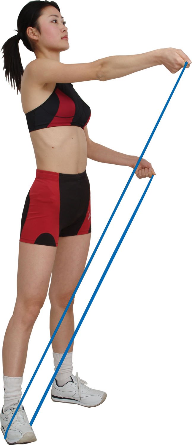 Amazon.co.jp: SINTEX(シンテックス) (シンテックス) トレーニング