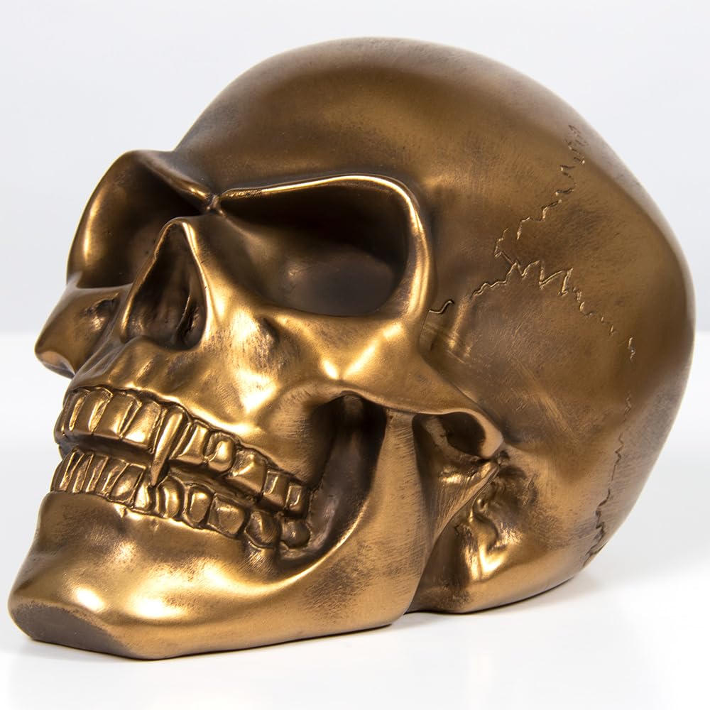 Thorne Antiques And Collectables Bronze Realistic Human Skull Head Ornament Gothic Home Decor 19.5Cm Rustic Antique Finish