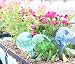 LeBeila Plant Watering Bulbs Globes 3 Small Automatic Self Watering Planter Stakes Glass Buld Balls for Indoor Outdoor Plants, Bonsai Potted Flowers, Garden Decorative Aqua Globs (3pcs, Multicolor)