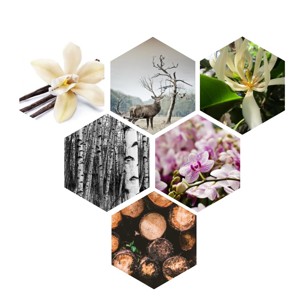 Iyan Aromatics Vanilla Attar | 10 ML