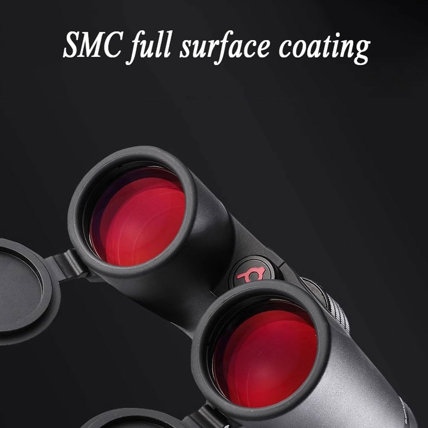 binocolo professionale binocolo compatto Binocolo HD 10X42 ad alto ingrandimento Binocolo portatile per caccia alle api impermeabile all'aperto