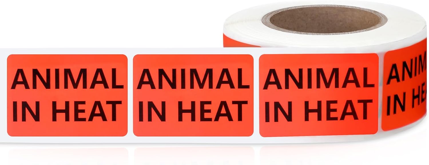 500 Pcs Animal in Heat Veterinary Fluorescent Orange-Red Labels - 1 x 1.5 Inch Pet Care Instruction Stickers for Animal Clinics, Shelters, Pet Stores or Party Rave