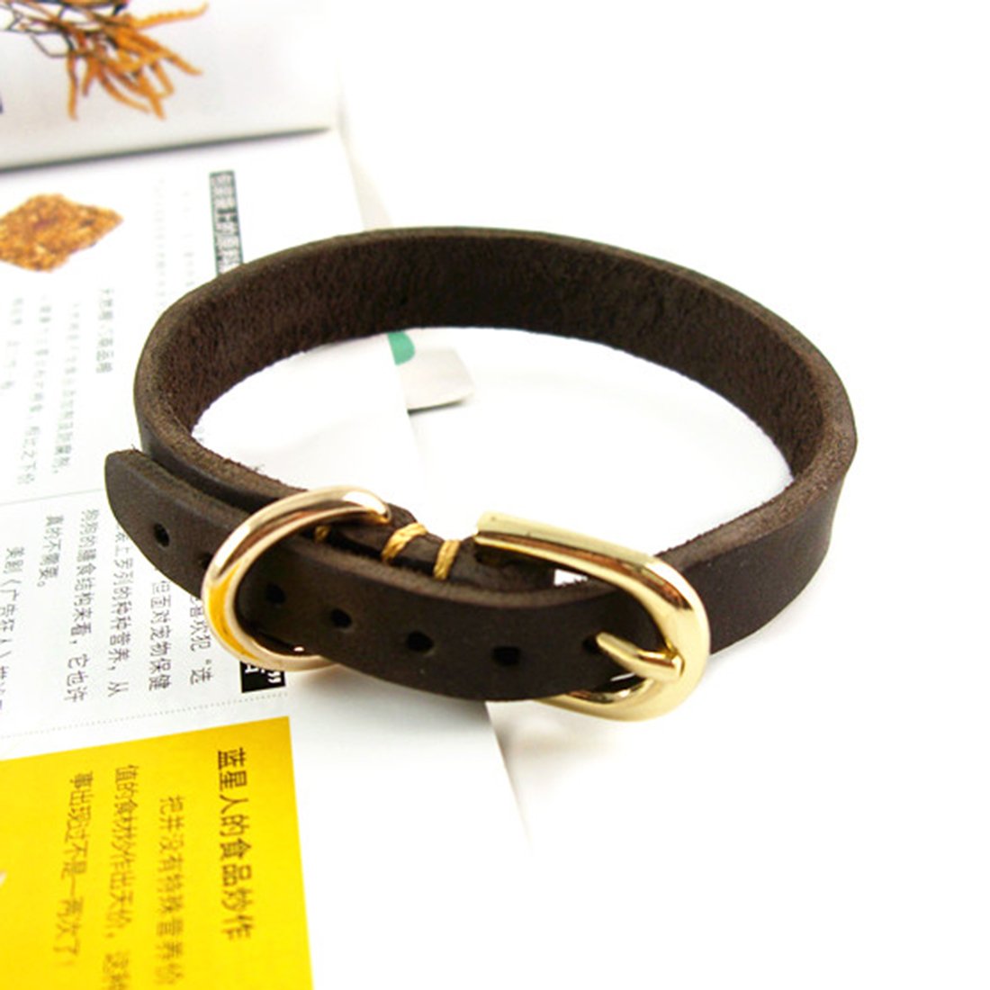 1.6M Hundeleine und Halsband Echtleder Hundführleine Haustier Schleppleine Lederleine mit Hundehalsband Halskette Martingal Dog Collar Halsbandleine für Welpen Klein Mittlere Hunde (Geflochten, XS)