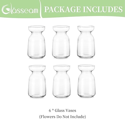 Miniatura 6 de Glasseam Jarrón de cultivo de bulbos de jacinto, moderno juego de 6 jarrones de cristal para centros de mesa, jarrón hidropónico para tulipanes de
