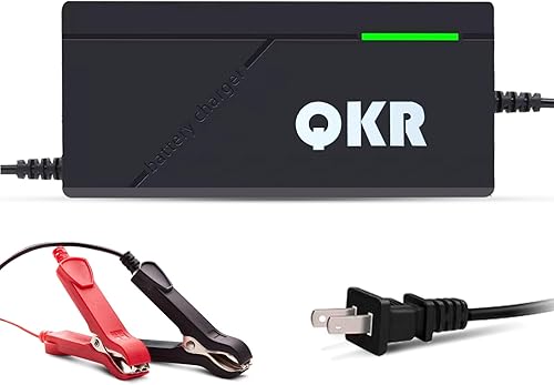 Cargador de batería LiFePO4 de 14.6V 10A especial para batería LiFePO4 de 12V, cargador de goteo para batería de fosfato de hierro y litio,